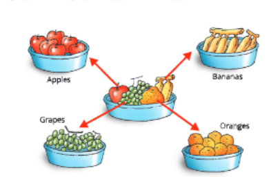 Diversity-in-Living-Organisms-a-simple-diageam-to-show-classification.