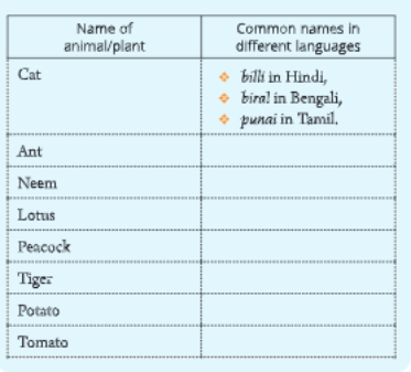 Diversity-in-Living-Organisms-activity-1.