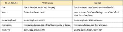 Diversity-in-Living-Organisms-differences-between-amphibians-and-reptiles