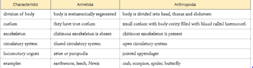 Diversity-in-Living-Organisms-differences-between-annelida-and-arthropodaPNG