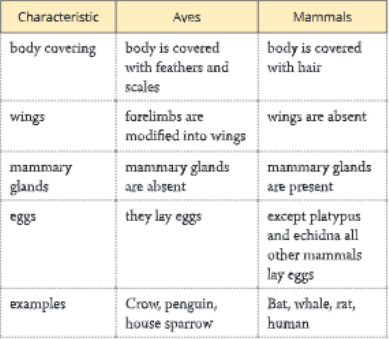 Diversity-in-Living-Organisms-differences-between-aves-and-mammals