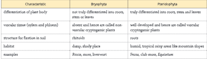 Diversity-in-Living-Organisms-differences-between-bryophytes-pteridophyta