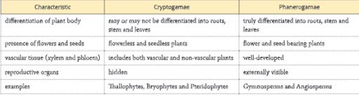 Diversity-in-Living-Organisms-differences-between-cryptogamae-phanerogamae