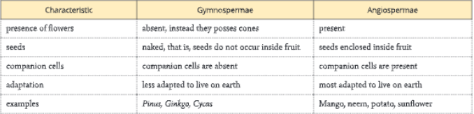 Diversity-in-Living-Organisms-differences-between-gymnogamae-angiospermae