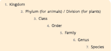 Diversity-in-Living-Organisms-hierarchy-of-classification.