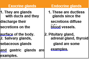 Endocrine system and adolensence differences between exocrinne and endocrine glands