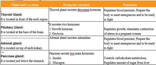 Endocrine system and adolensence some endocrine glands