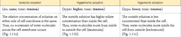 Fundamental-unit-of-life-isotonic-solution