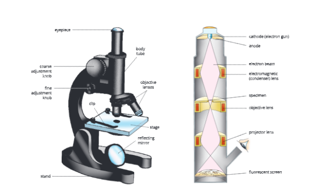 Fundamentals-unit-of-life-light-microscope-electron-microscope