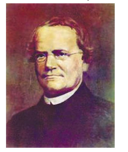 Gregor Mendel The first scientist to make a systematic study of heredity. He is known as the Father of Genetics