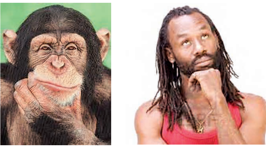 Humanbeingshavenotevolvedfromchimpanzees.