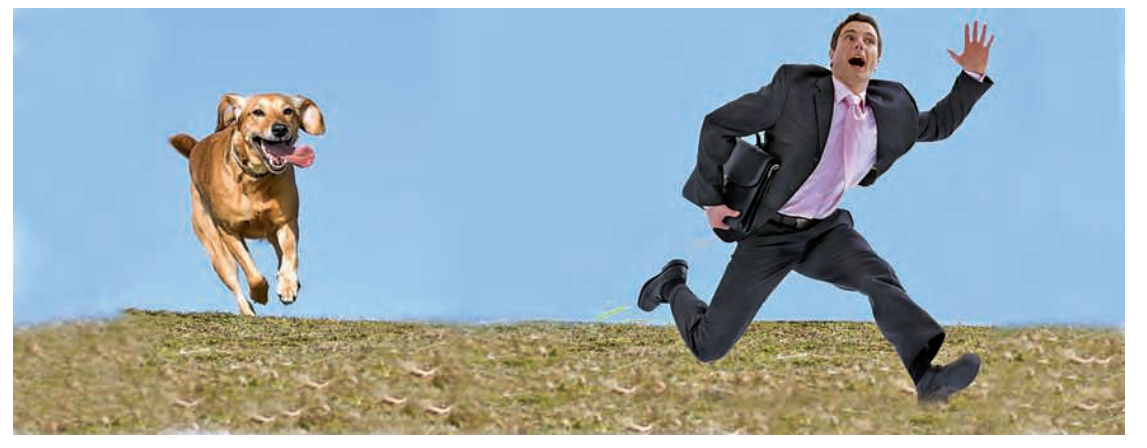 It is the adrenaline hormone (secreted by adrenal glands) which has prepared the body of this person to run away very fast from a ferocious dog.