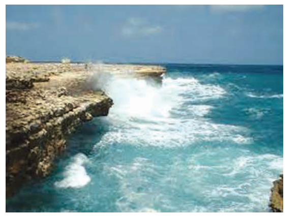 Scientistshavecometotheconclusionthatlife(orlivingorganisms)originatedintheseawater.