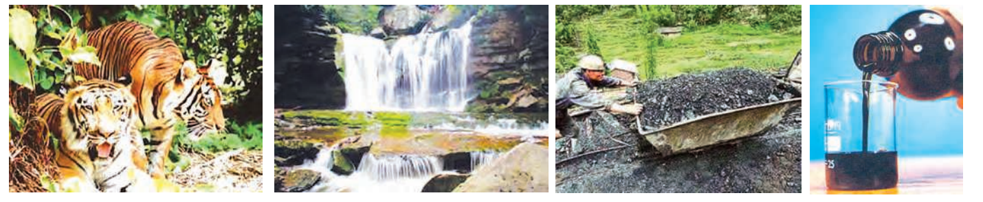 Someofourimportantnaturalresourcesareforestsandwildlife,water,coalandpetroleum.