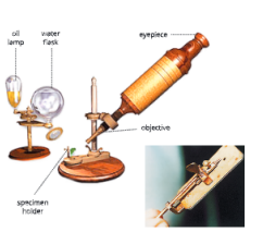 The-fundamentals-unit-of-life-Robert-hooks-microscope