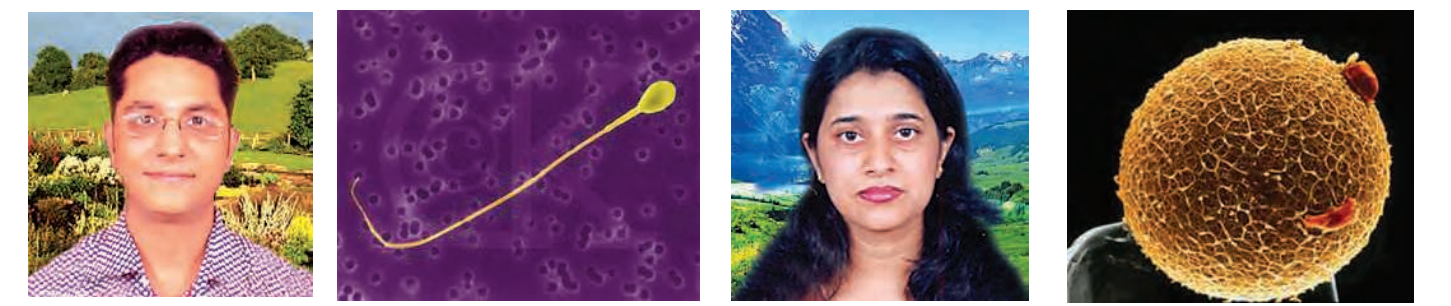 . The heredity information is present on the gametes (or sex cells) of the parents. So, gametes constitute the link between one generation and the next and pass on parents’ traits to their children.