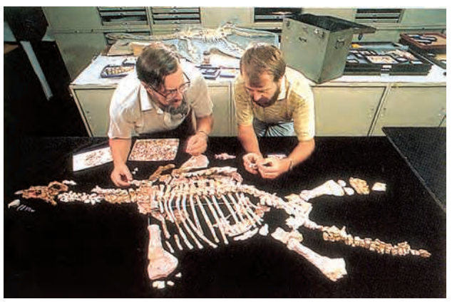 Thescientistswhostudyfossilsarecalledpalaeontologists