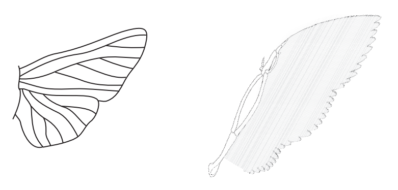 ThewingsofaninsectandabirdhavedifferentstructuresbutsimilarfunctionsTheyareanalogousorgans.