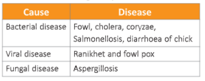 Useful-Microorganisms- Animals-and-Plants-2 Diseases-of-poultry-birds