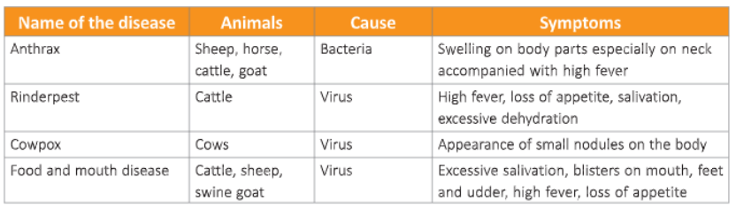 Useful-Microorganisms- Animals-and-Plants-Common-diseases-of-cattle