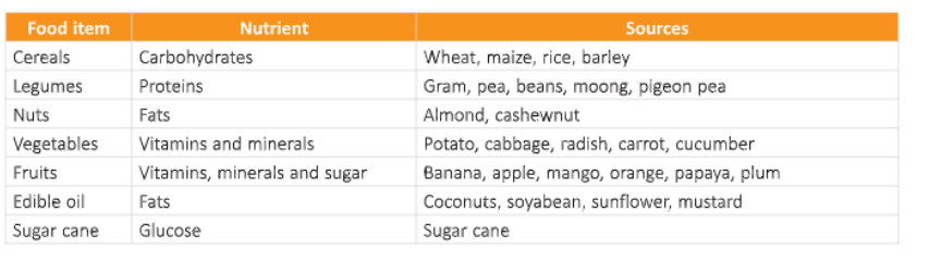 Useful-Microorganisms- Animals-and-Plants-Some-common-food-items,- their-nutrients-and-sources