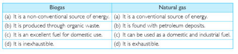 bio gas and natural gas