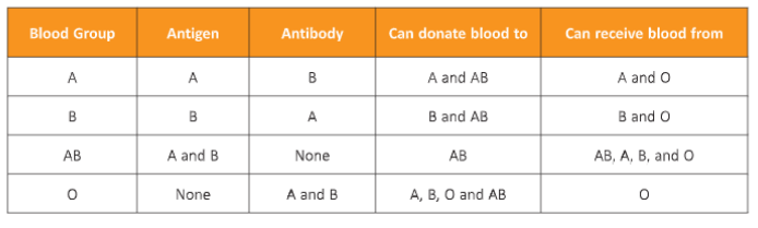 circular- system- Different- blood- groups- with- antigen- and- antibody- present- in- them