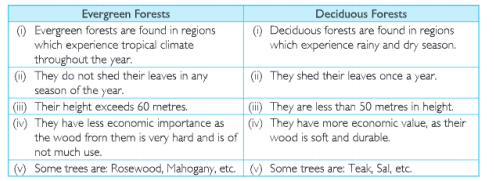 difference between forests
