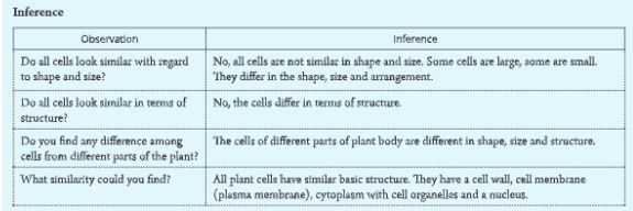 difference-between-observation-interface