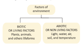 ecosystem Divisionofanecosystem