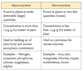 improvementinfoodresources
