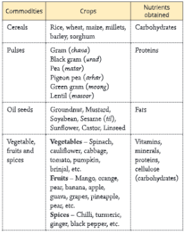  improvementsinfoodfoodresources