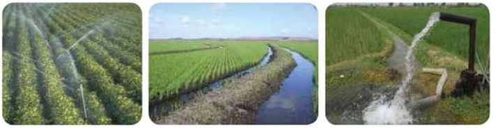 food-production-Different-modes-of-irrigation