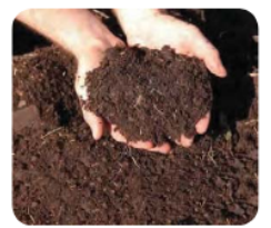 food-production-Manure-used-in-fields