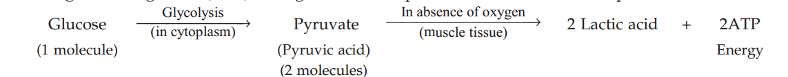 formula-4