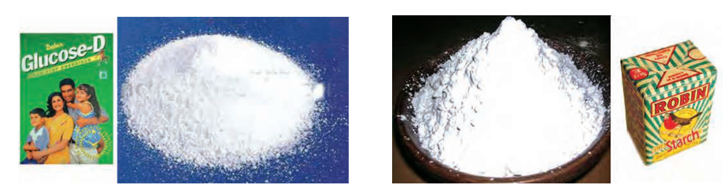 life - process -nutrition-glucose figure -3,4