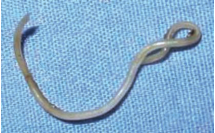 life- process- parasitic - mode -of - nutrition-round worm- figure - 10