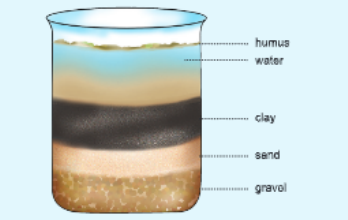 natural-resources-activity-10