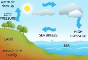 natural-resources-during-day