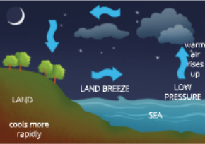 natural-resources-during-night-