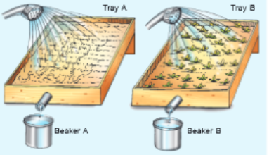 natural-resources-soil-vegetation-water-absorbtion