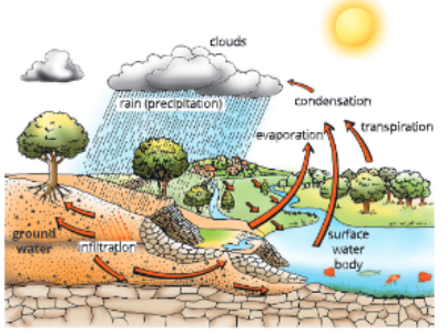 natural-resources-steps-of-water-cycle