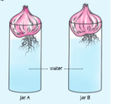 tissueactivity1