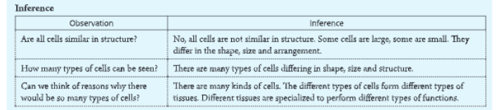 tissueinferance