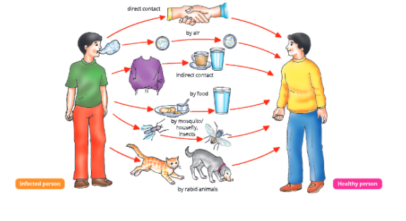 whydowefallillcommonwaysoftransmissionofdiseases
