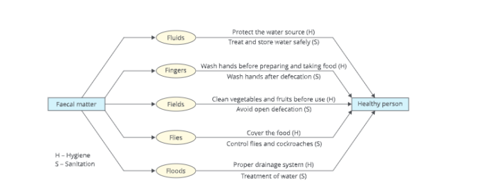 whydowefallillthefivef'spreventionoftransmissionofdiseacesbymaintainingsanitationandhygine