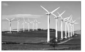 wind mills
