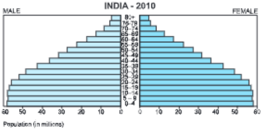 india's papulation pyramid