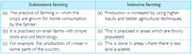 intensive and subsenstive farming