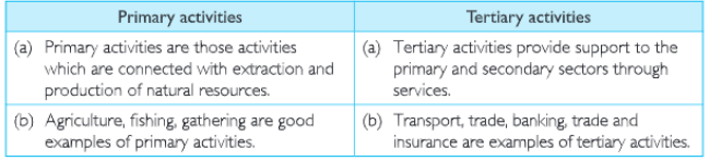 primary and tericiry activities